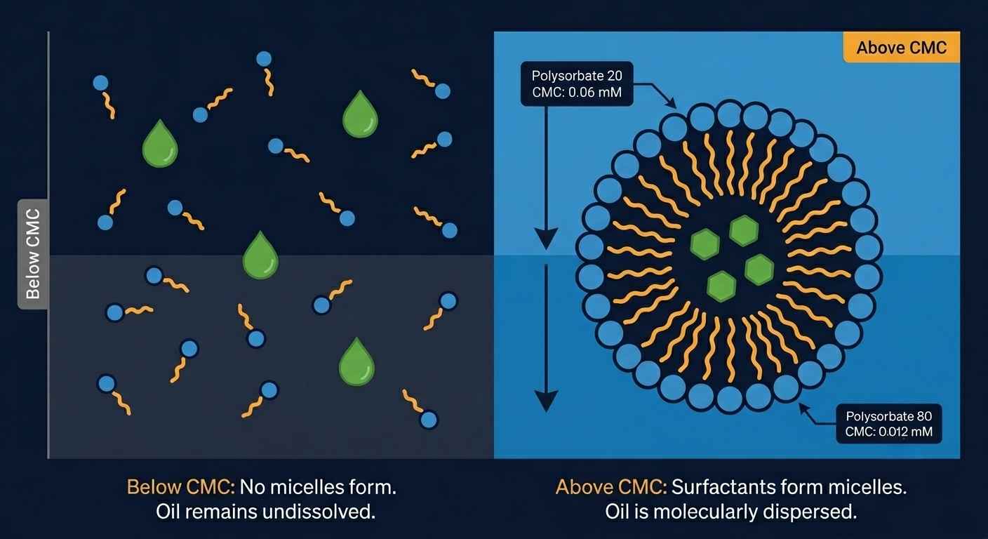 Polysorbate 80 CMC micelle formation diagram: Below CMC vs Above CMC comparison showing surfactant monomers and oil droplets